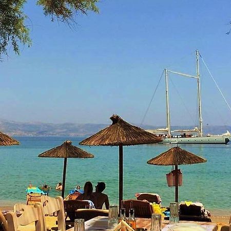Cactus Beach Paros Logaras Eksteriør billede